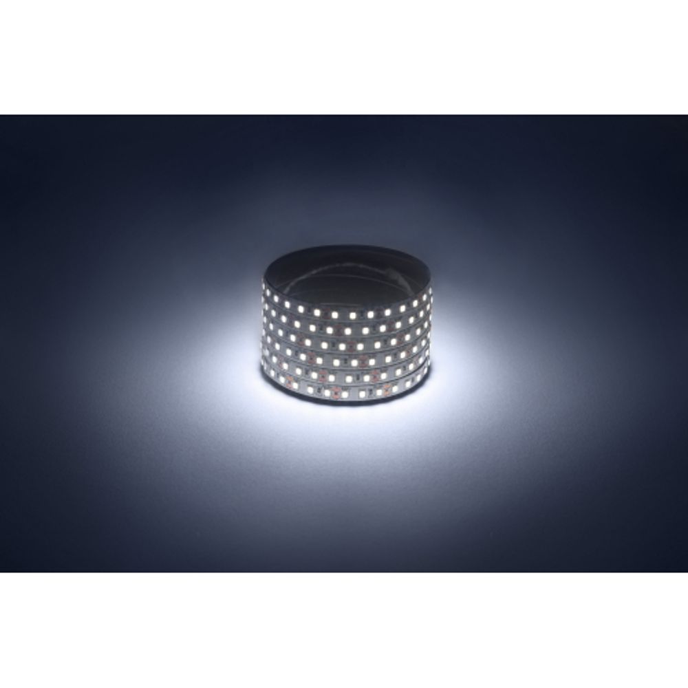 Светодиодная лента ЭРА LS2835-9,6-120-12-6500K-IP20 1 year-50m холодный белый 1 год | Светодиодные ленты 12В 1 год