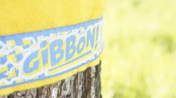 Слэклайн Gibbon FunLine 15 m