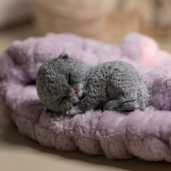 Котенок Пушок