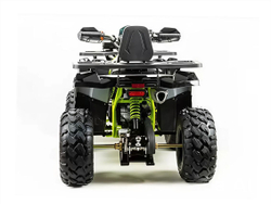 Квадроцикл MOTOLAND 200 Wild Track Pro