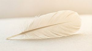 Тело и здоровье