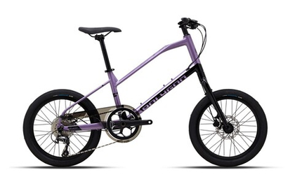 Дорожный велосипед Polygon Zeta 2 20 (2023)