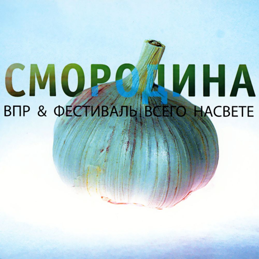 ВПР &amp; Фестиваль Всего НаСвete / Смородина (CD)