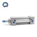 DSBG-100-250-PPV-A-N3 Пневмоцилиндр