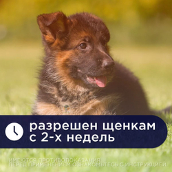 Таблетки от гельминтов для собак более 20кг Празител Плюс, 6 таб. Празиквантел/Пирантел/Фенбендазол