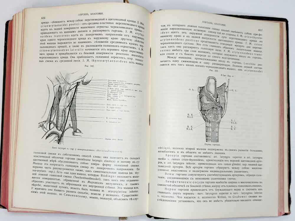 Eulenburg A., проф. Эйленбург А  Реальная энциклопедия практической медицины в XVII томах. 1909-1915