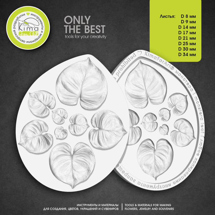 Монстера MINI | MICRO