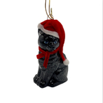 Кот в колпачке [Арт. NB0343]