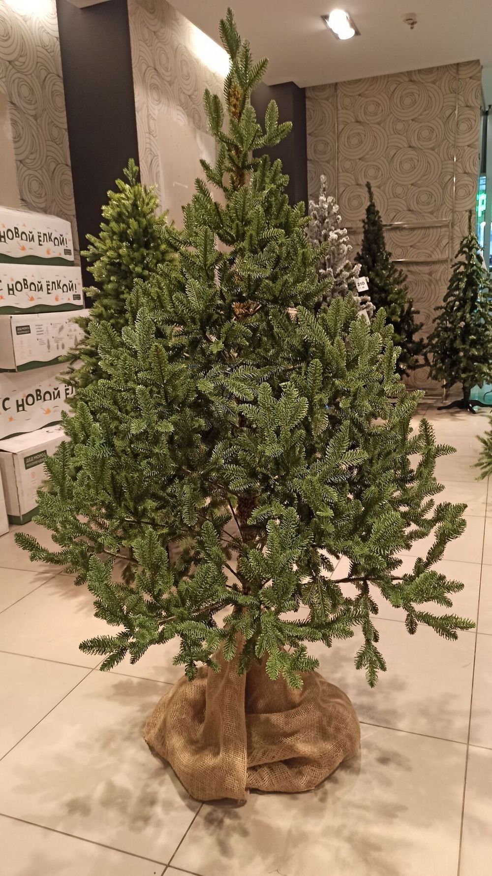 Искусственная ель на ножке «Датская» (хвоя Литая) 210 см / 2.1 м