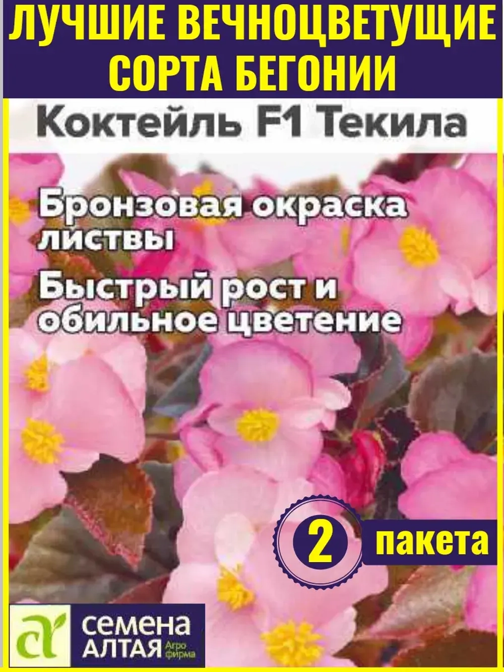 Семена бегонии вечноцветущей Коктейль F1 Текила