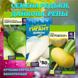 Набор семян корнеплодов: редька, дайкон, репа. Семена Алтая