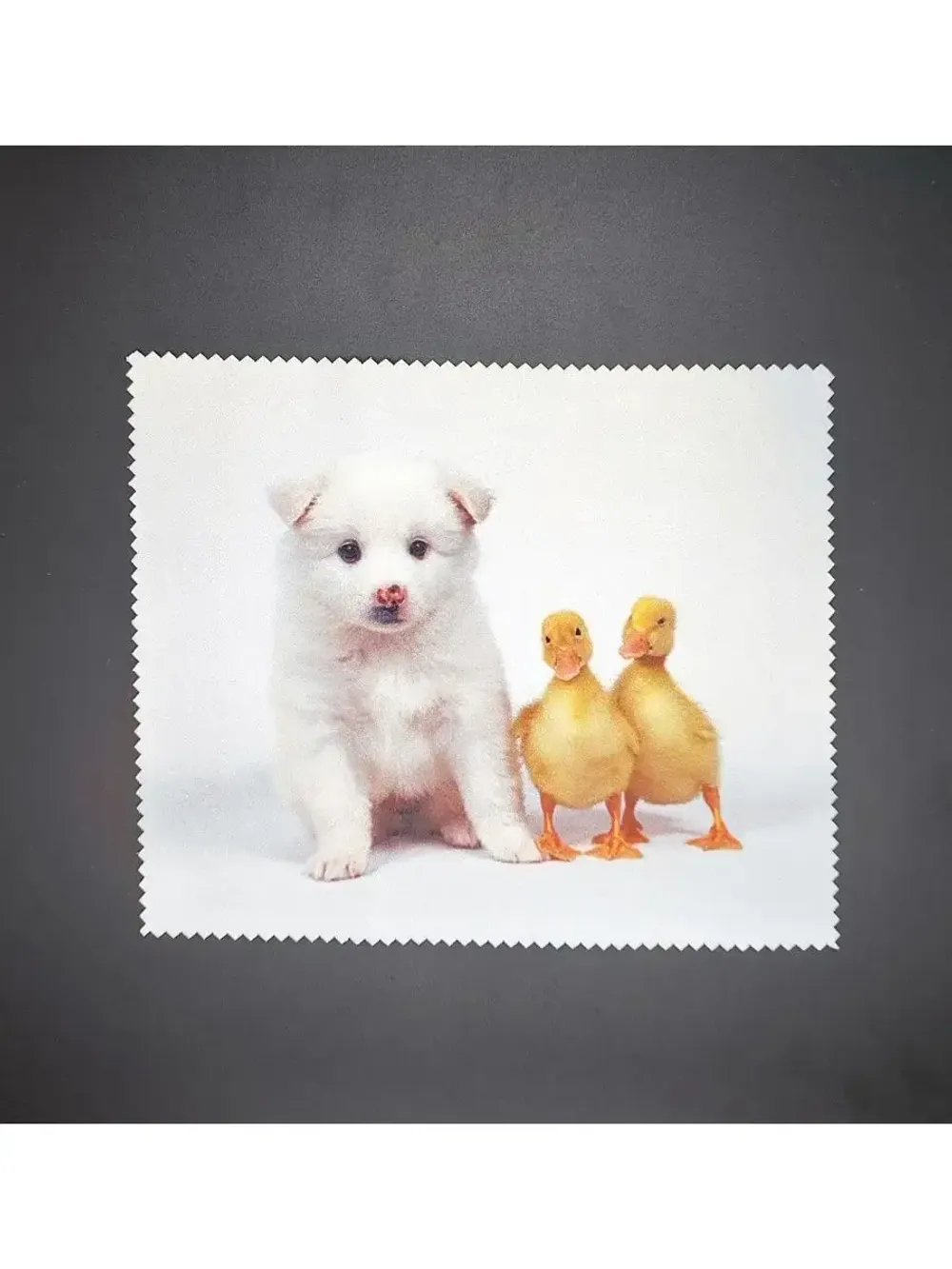 Футляр для очков