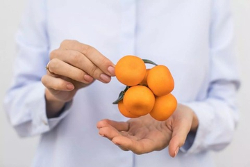 Ветка с мандаринами из 5шт