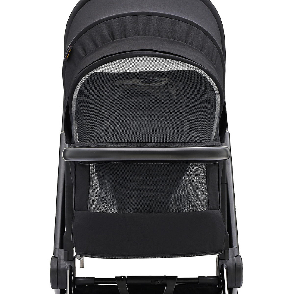 Коляска 2 в 1 Labala Raiz Edition Line 2025 Black Night