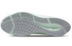 Кроссовки Nike Pegasus 38 Premium (Женская размерная сетка)