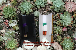 Парфюмерная вода женская СвеТLана Mr. Newl C&M015-00 1 ml