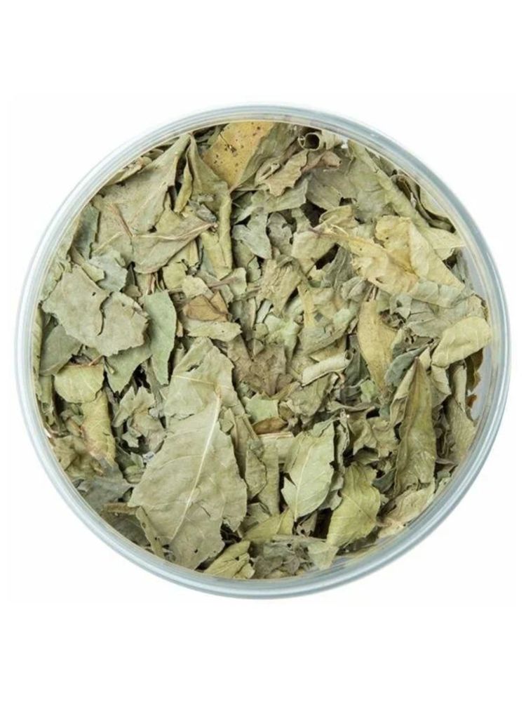 Bharat BAZAAR Листья карри Curry leaves 20 гр, 2 шт