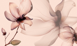 Коллекция Цветы