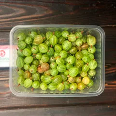 Крыжовник домашний / 500 гр