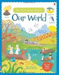 My First Book About Our World Sticker Book