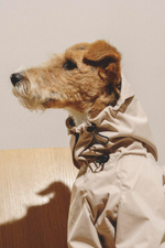 Комбинезон "Пони-комбинезони" бежевый