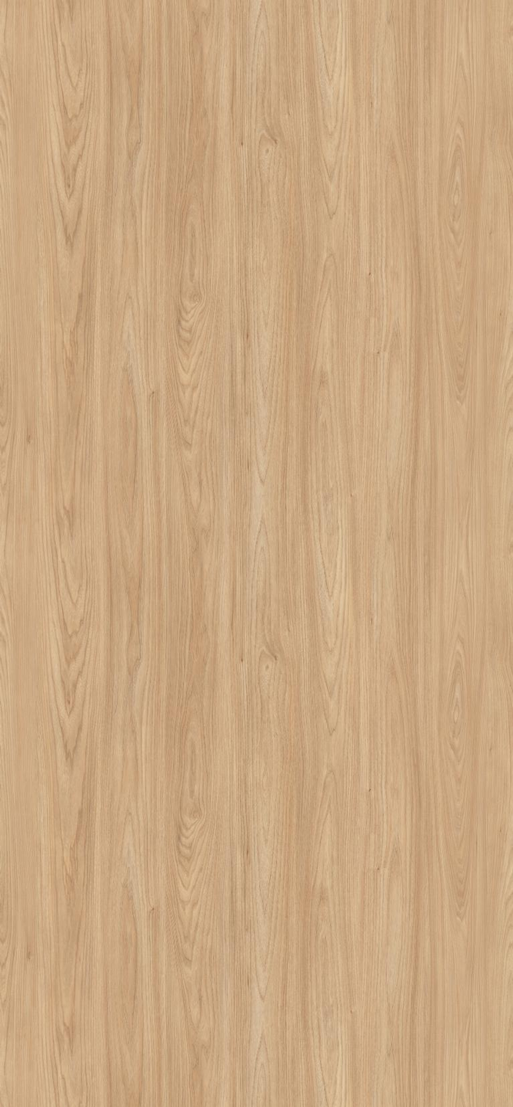 Акация Шеффилд натуральный H1242 ST10