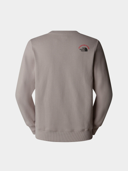 Кофта THE NORTH FACE M CREW EXPEDITION SYSTEM GRAPHIC MOONSTONE GREY