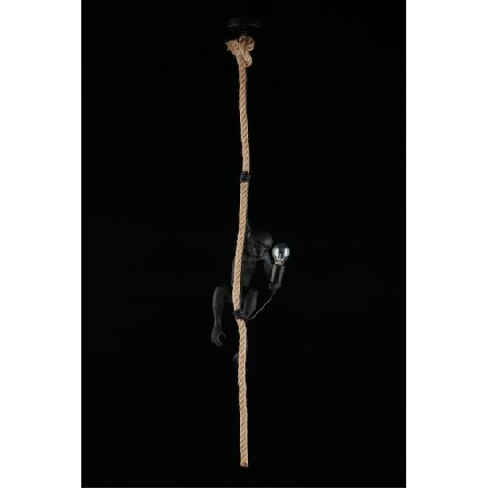 Светильник подвесной APL.309.16.01