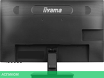 Монитор Iiyama ProLite XU2463HSU-B1