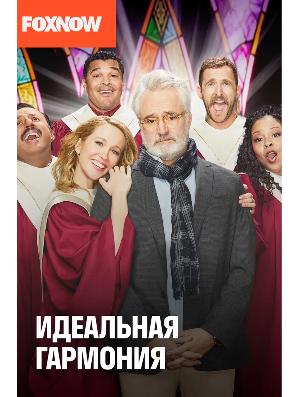 Идеальная гармония, сезон 1 (DVD-R)