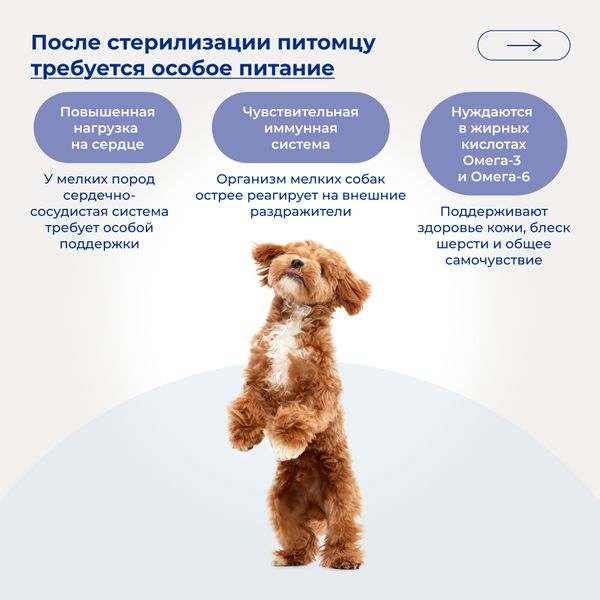 Сухой корм Jarvi для взрослых собак мелких пород, говядина