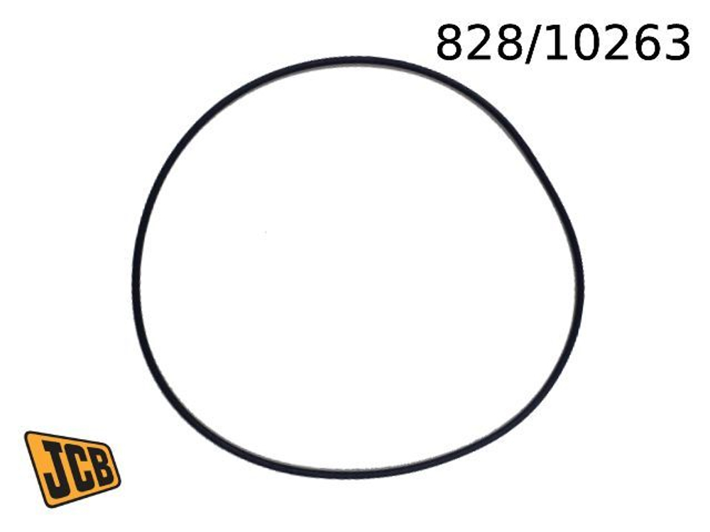 Кольцо КПП 828/10263