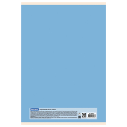 Тетрадь А4, 48 л., BRAUBERG, скоба, клетка, обложка картон, "PASTEL", 404041