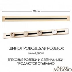 Трек накладной Arte Milano Am-track-sockets 382301TO/100 Gold