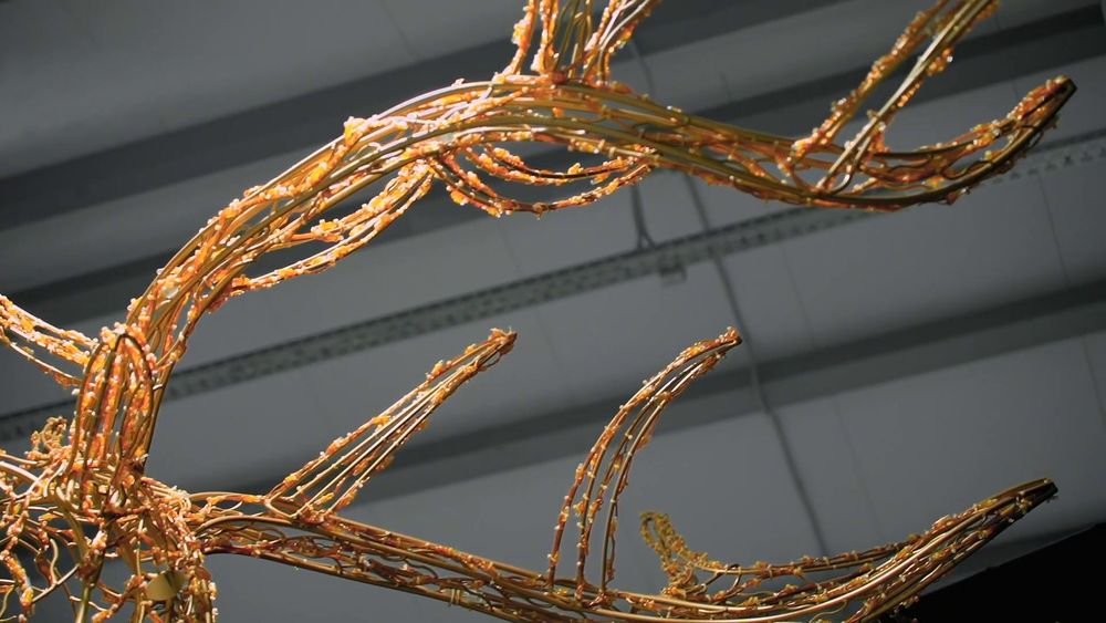 Светодиодный олень "Рождественский" (золотой) высота 5 м