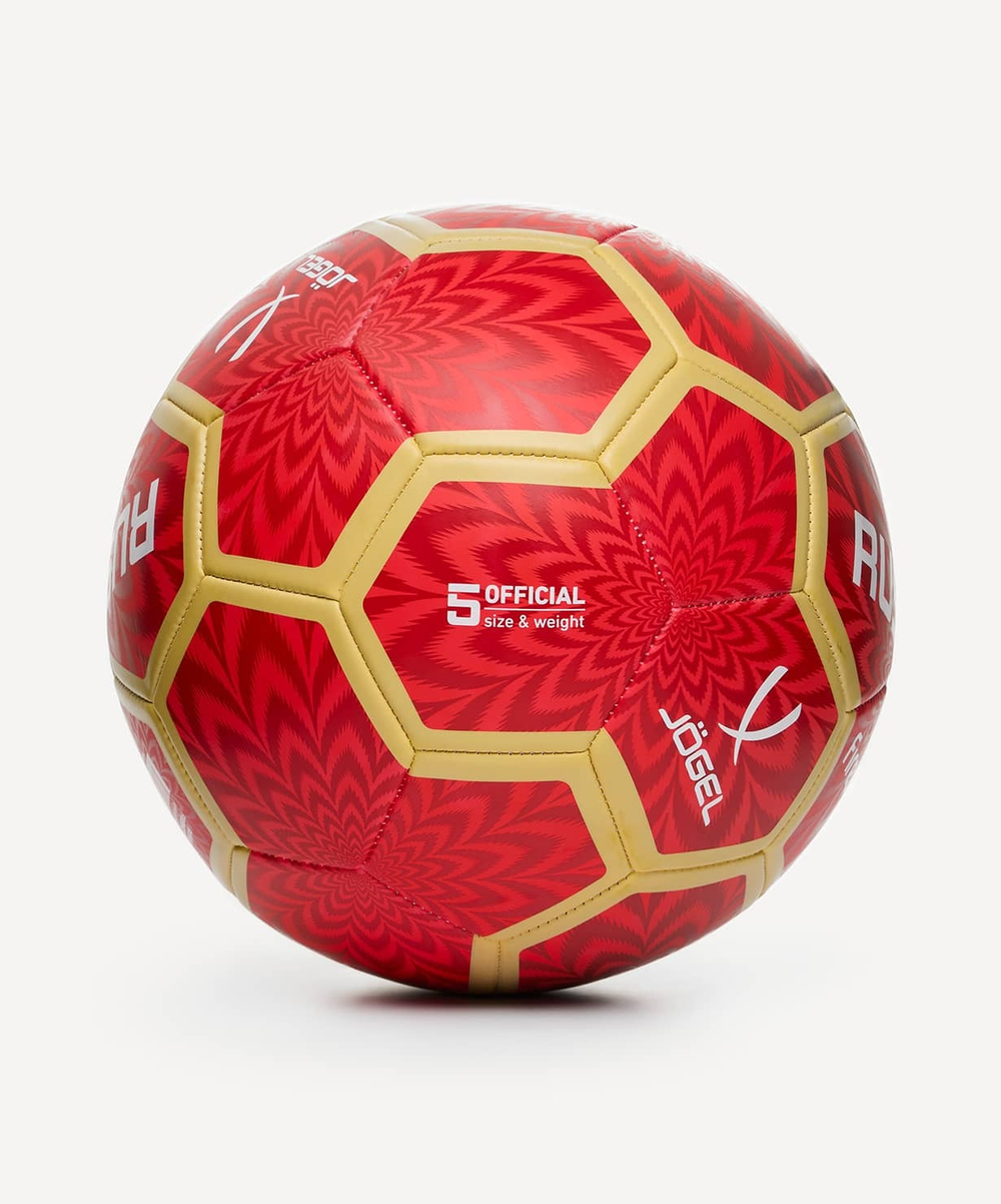 Мяч футбольный Flagball Firebird №5