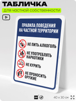 Табличка для частной территории "Правила поведения на частной территории", на дом, для участка, организаций, предупреждающая, 40х30 см, Silver Plane x Айдентика Технолоджи