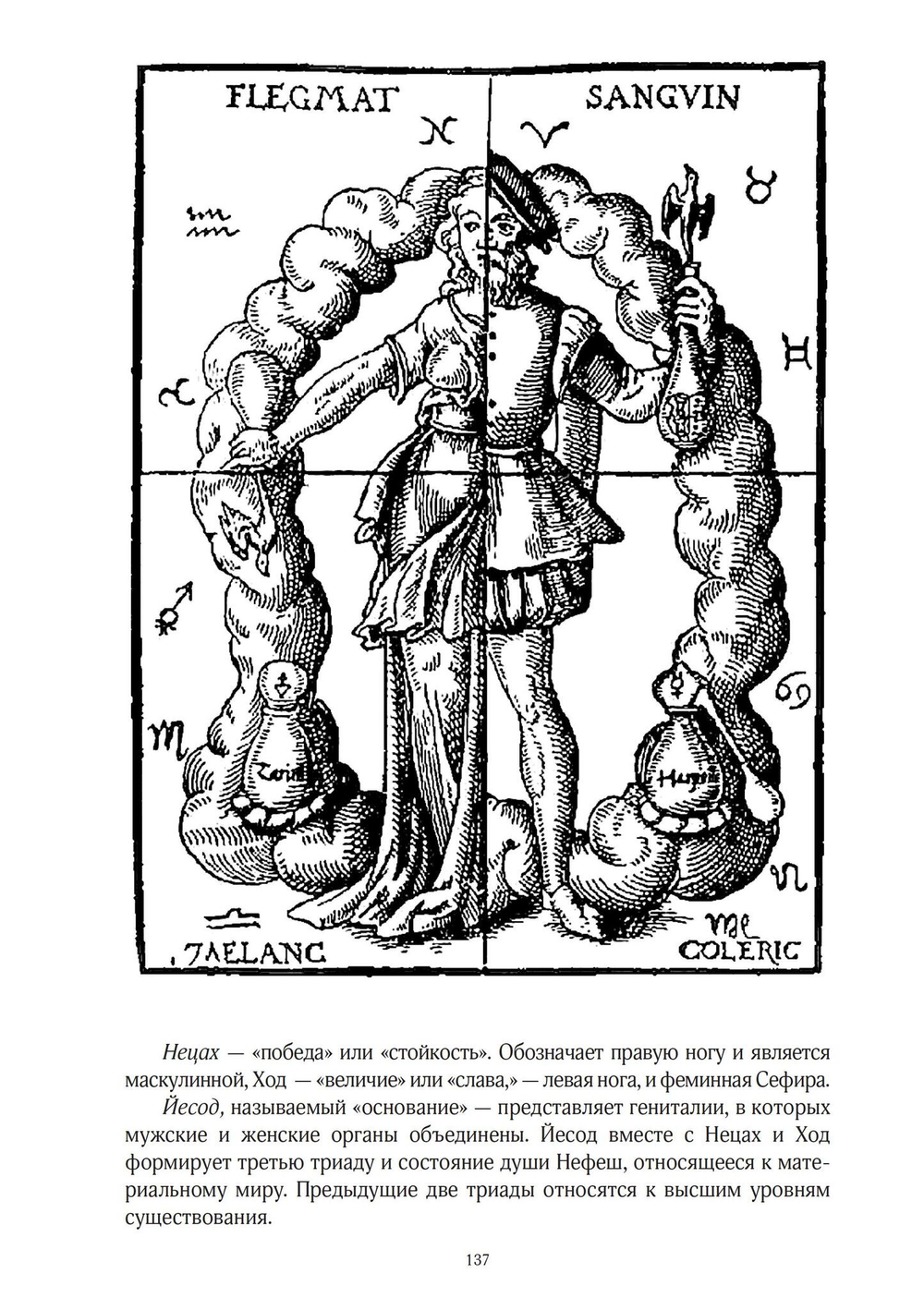 Андрогины (PDF)