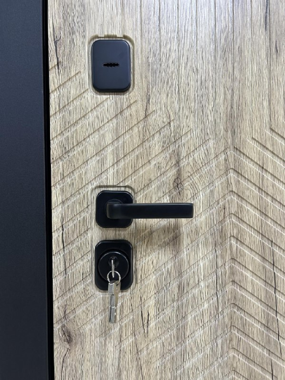 Дверь входная Деус