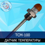 Датчик температуры ТСМ-100 для инкубатора
