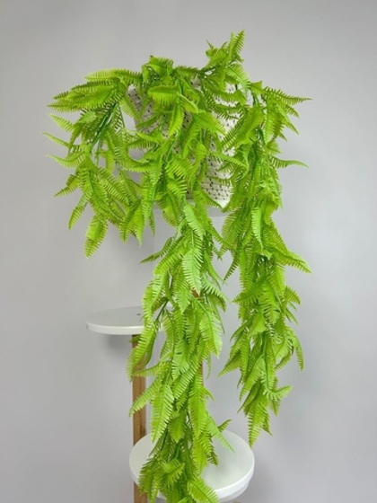 Папоротник мелкий / Арт 4212