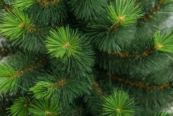 Искусственная сосна Муза в мешочке 90 см., Леска, ЕлкиТорг (47090)