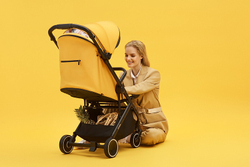 Детская прогулочная коляска Anex AIR-X Ax-04/L yellow