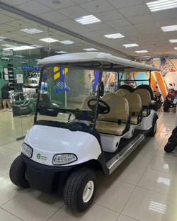 Гольфкар GreenMotortech 6+2
