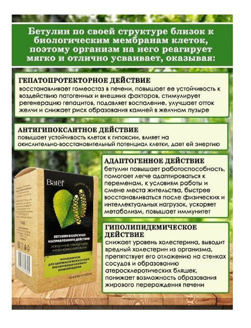 Batel. Бетулин, усиленный природными иммуномодуляторами