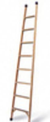 Лестница стеклопластиковая приставная ЛСП-2,4-Ф40П