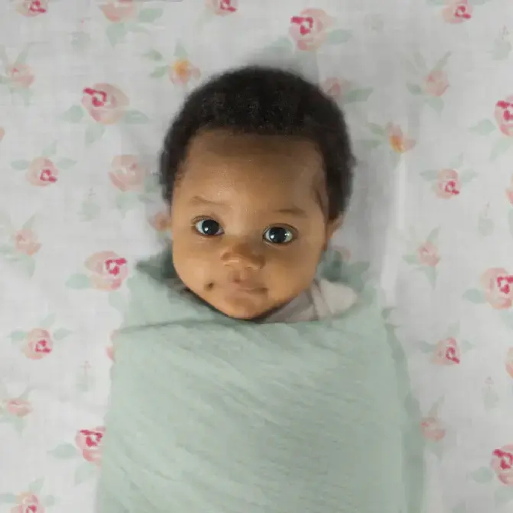 SwaddleDesigns Набор пеленок муслин 4 шт. - Earthtone 4-Pack, Oceana
