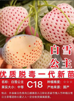 Белоснежка Bai Xue Gongzhu 白雪公主