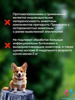 Рабектра 500 мг жевательная таблетка против блох и клещей для собак весом 10-20 кг, 1 таблетка