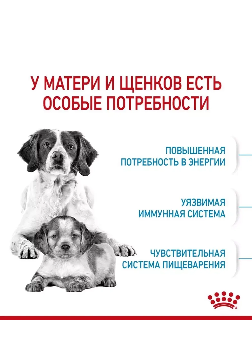 ROYAL CANIN MEDIUM STARTER MOTHER & BABYDOG(Роял Канин МЕДИУМ СТАРТЕР МАЗЕ ЭНД БЭБИДОГ) корм сухой для собак 20 кг.
